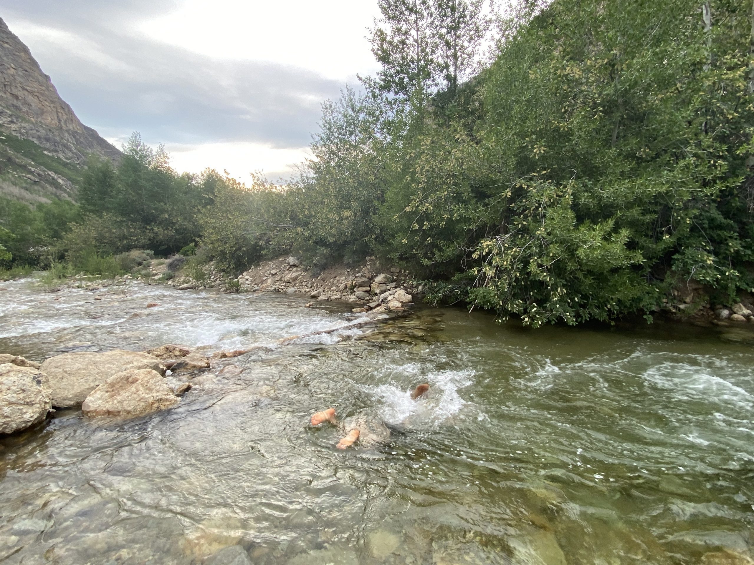 Picture of me splashing face first into a creek